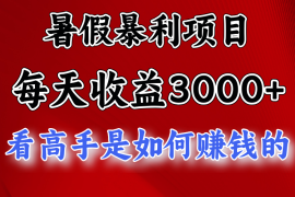 赚钱项目（11422期）暑假暴利项目，每天收益3000+努努力能达到5000+，暑假大流量来了便宜07月04日中创网VIP项目