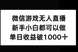 简单项目微信游戏无人直播，新手小白都可以做，单日收益破1k【揭秘】09-22冒泡网