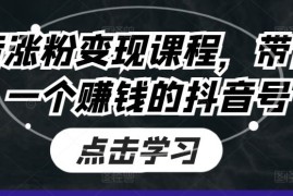 创业项目抖音涨粉变现课程，带你做一个赚钱的抖音号便宜07月05日冒泡网VIP项目