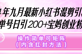 实战（12530期）小红书混剪引流，单号日引200+宝妈创业粉，操作简单可矩阵（内含扛封&#8230;09-09中创网