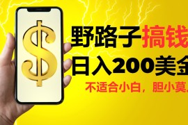 创业项目挂机野路子搞钱，日入200美金，路子很野，小白莫入11-27福缘网