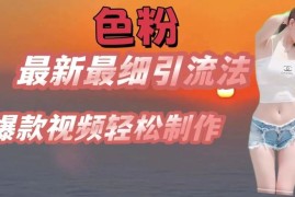 热门项目se粉最新最细引流法，七天螺旋起号法，爆款视频轻松制作【揭秘】，07月02日冒泡网VIP项目