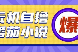 创业项目首发云手机自撸小说玩法，10块钱成本可撸200+收益操作简单【揭秘】12-19冒泡网