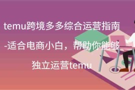 2024最新temu跨境多多综合运营指南-适合电商小白，帮助你能够独立运营temu(44节)便宜07月20日福缘网VIP项目