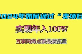 每日（13419期）2024年如何通过“卖项目”赚取100W：最值得尝试的盈利模式11-22中创网