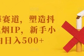 简单项目蓝海赛道，塑造抖音戒烟IP，新手小白日入500+【揭秘】08-19冒泡网