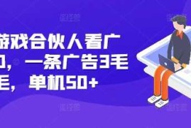 热门项目快手游戏合伙人看广告3.0，一条广告3毛到五毛，单机50+【揭秘】12-11冒泡网