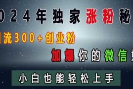 实战2024年独家涨粉秘籍，日引流300+创业粉，加爆你的微信好友，小白也能轻松上手12-01冒泡网