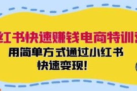 小红书快速赚钱电商特训营，用简单方式通过小红书快速变现对比抖音号运营