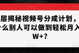 最新项目深层揭秘视频号分成计划，为什么别人可以做到轻松月入1W+?11-22冒泡网