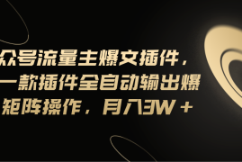 简单项目（11430期）Ai公众号流量主爆文插件，只需一款插件全自动输出爆文，矩阵操作，月入3w+便宜07月05日中创网VIP项目