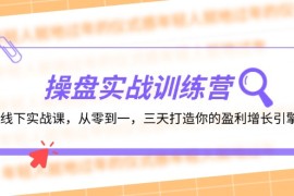 赚钱项目（12275期）操盘实操训练营：线下实战课，从零到一，三天打造你的盈利增长引擎08-24中创网