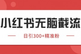 小红书截流同行客源，独家野路子获客玩法 日引200+暴力获客【揭秘】
