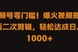 赚钱项目视频号零门槛，爆火视频搬运后二次剪辑，轻松达成日入1k+【揭秘】09-13冒泡网