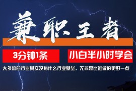 实战（12721期）兼职王者，3分钟1条无脑批量操作，新人小白半小时学会，长期稳定一天200+09-25中创网