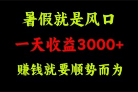 最新项目（11670期）一天收益3000+赚钱就是顺势而为，暑假就是风口便宜07月19日中创网VIP项目