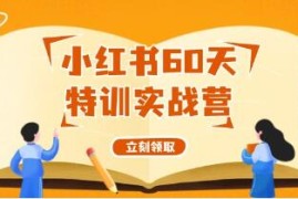 小红书60天特训实战营，从0打造能赚钱的小红书账号联盟抖音号运营