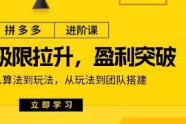 每日拼多多进阶课：极限拉升/盈利突破：从算法到玩法从玩法到团队搭建（18节）便宜07月06日福缘网VIP项目