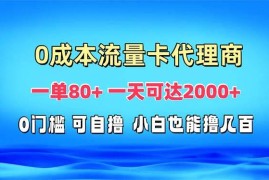 最新项目（13391期）免费流量卡代理一单80+一天可达2000+11-20中创网