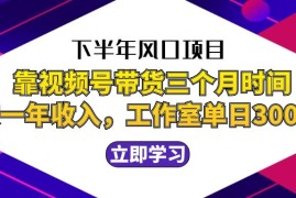 （12849期）下半年风口项目，靠视频号带货三个月时间赚一年收入，工作室实测单日3…