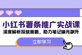 赚钱项目（12289期）小红书-薯条推广实战课：深度解析投放策略，助力笔记曝光飙升08-24中创网