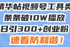 热门项目（13643期）星球精华帖视频号工具类视频条条破10W播放日引300+创业粉，速看防和谐！12-12中创网