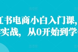 每日小红书电商小白入门课，店群实战，从0开始到学会便宜08月05日冒泡网VIP项目