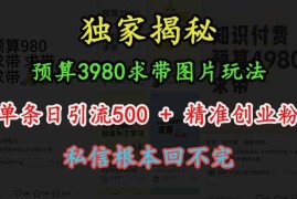 赚钱项目预算3980求带图片玩法，单条日引流500+精准创业粉，私信根本回不完12-04冒泡网