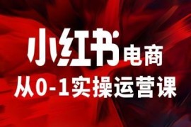 热门项目小红书电商从0-1实操运营课，让你从小白到精英08-20冒泡网