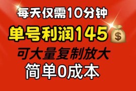 简单项目（12027期）每天仅需10分钟，单号利润145可复制放大简单0成本便宜08月07日中创网VIP项目