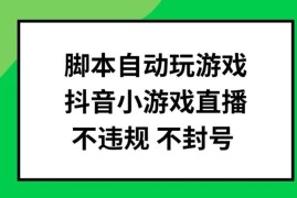 实战脚本自动玩游戏，抖音小游戏直播，不违规不封号可批量做【揭秘】便宜08月08日冒泡网VIP项目