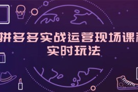 每日（11759期）拼多多实战运营现场课程，实时玩法，爆款打造，选品、规则解析便宜07月23日中创网VIP项目