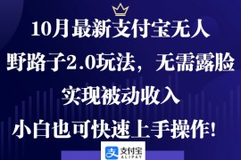 赚钱项目（12824期）10月最新支付宝无人野路子2.0玩法，无需露脸，实现被动收入，小白也可&#8230;10-04