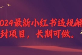 每日2024最新小红书违规解封项目，长期可做，一个可以做到退休的项目【揭秘】08-16冒泡网