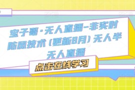 宝子哥·无人直播-非实时防风技术(更新25年7月)无人半无人直播