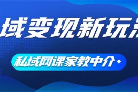 2024最新（12089期）私域变现新玩法，网课家教中介，只做渠道和流量，让大学生给你打工、0&#8230;便宜08月10日中创网VIP项目