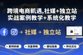 跨境电商新机遇，社媒+独立站，实战案例教学+系统化教学