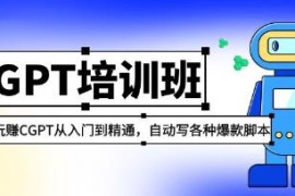 chatGPT培训班-玩赚CGPT从入门到精通，自动写各种爆款脚本与抖音号运营