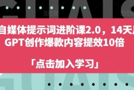 实战AI自媒体提示词进阶课2.0，14天用GPT创作爆款内容提效10倍08-31冒泡网