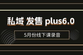 实战（11612期）私域发售plus6.0【5月份线下课录音】/全域套装sop流程包，社群发售&#8230;便宜07月14日中创网VIP项目