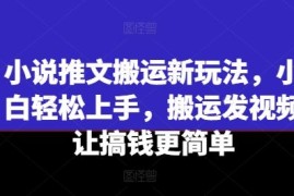 实战小说推文搬运新玩法，小白轻松上手，搬运发视频让搞钱更简单便宜07月10日冒泡网VIP项目