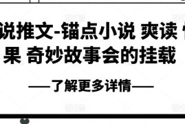 小说推文-锚点小说 爽读 快果 奇妙故事会的挂载，06月25日冒泡网VIP项目