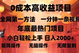 热门项目（13723期）0成本高收益蓝海项目，一分钟一条视频，年底最热项目，小白轻松日入&#8230;12-18中创网