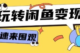 从0到1系统玩转闲鱼变现，核心选品思维，提升产品曝光及转化率联盟抖音号运营