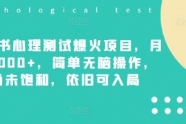 实战小红书心理测试爆火项目，月入7000+，简单无脑操作，尚未饱和，依旧可入局便宜08月11日冒泡网VIP项目