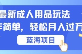 简单项目最新成人用品项目玩法，操作简单，动动手，轻松日入几张【揭秘】09-12冒泡网