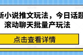 最新项目最新小说推文玩法，今日话题滚动聊天批量产玩法，06月29日冒泡网VIP项目