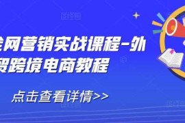 赚钱项目外贸全网营销实战课程-外贸跨境电商教程12-17冒泡网