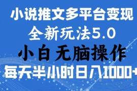 每天（11323期）2024年6月份一件分发加持小说推文暴力玩法 新手小白无脑操作日入1000+ …，06月29日中创网VIP项目