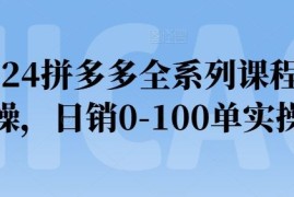 2024拼多多全系列课程实操，日销0-100单实操【必看】，06月24日冒泡网VIP项目